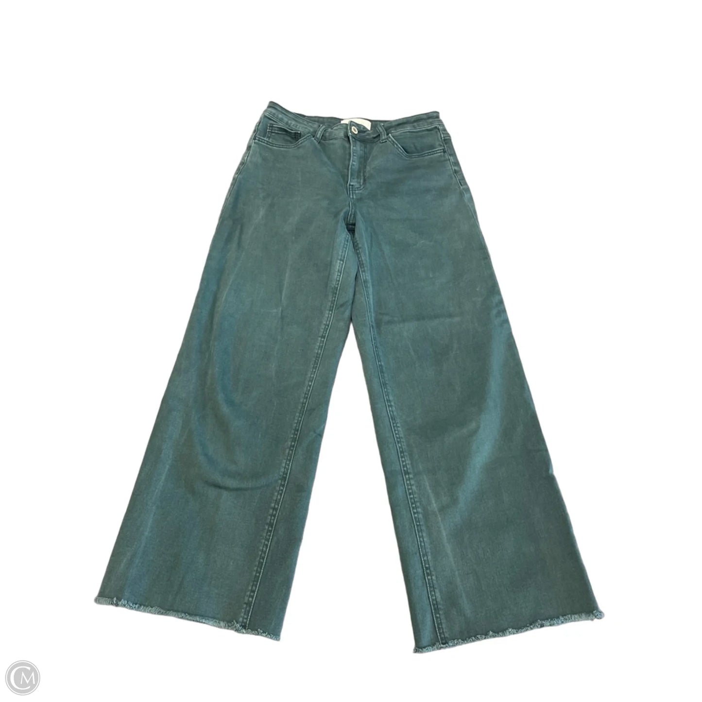 Jeans Straight By Vervet In Teal, Size: 8
