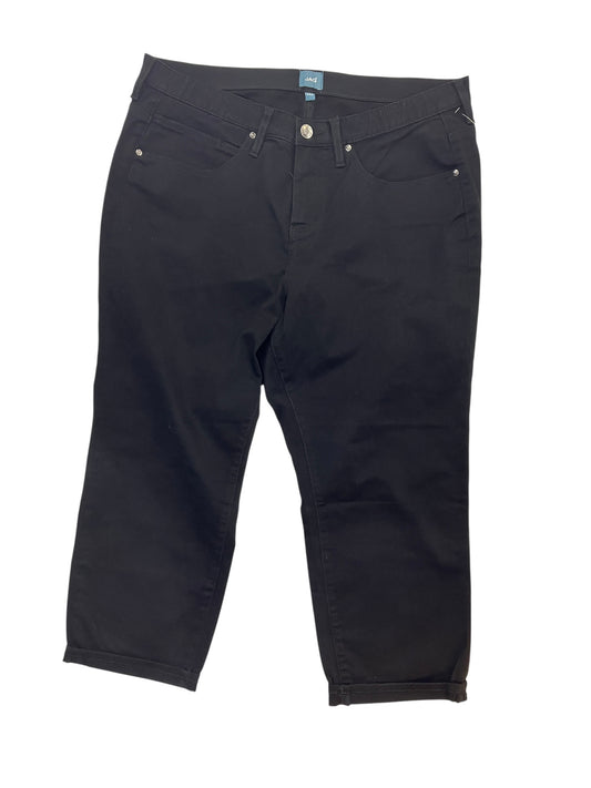 Jeans Cropped By Jag In Black Denim, Size:18