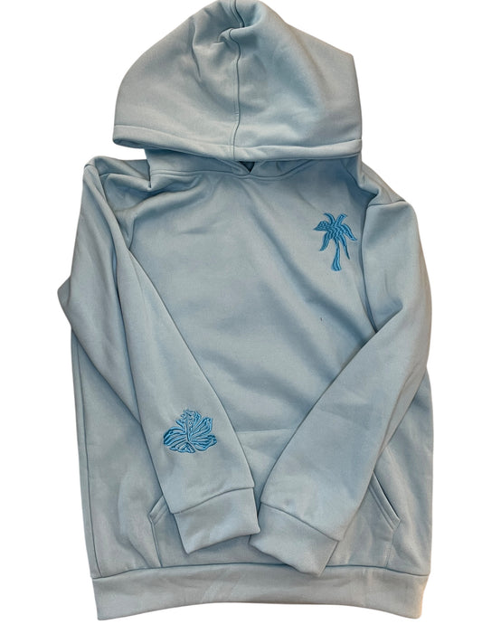 Sweatshirt Hoodie By Clothes Mentor In Blue, Size:M